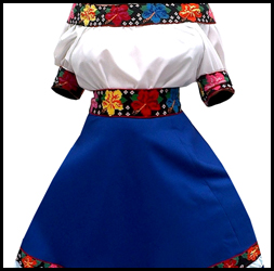 Vestido profesional de Tabasco con falda en azul rey y flores bordadas